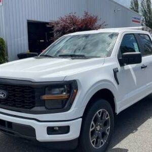 New 2024 Ford F-150 STX SuperCrew 5.5' Box 4WD