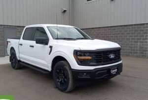 New 2024 Ford F-150 STX SuperCrew 5.5' Box 4WD