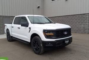 New 2024 Ford F-150 STX SuperCrew 5.5' Box 4WD