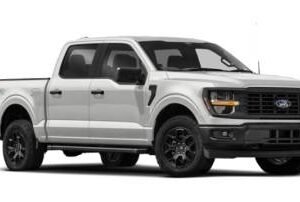 New 2024 Ford F-150 STX SuperCrew 5.5' Box 4WD